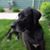 Sue Hanson's profile image