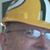 Harry Rarick's profile image