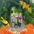 Tami Chouinard's profile image