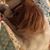 Sheila Ann's profile image