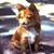 Ronald Montgomery's profile image