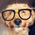 Erin Roosevelt's profile image