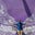 Abdulaziz's profile image