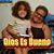 Alice D. Velez's profile image
