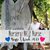 Amy Mooney Shull's profile image
