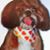 Patsy Hammer's profile image
