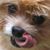 Lauren Cramer's profile image