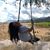Brandie Racquel Siers's profile image