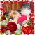 Karen Mingus's profile image