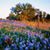 Becky Lagace's profile image