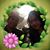 Mony Cisneros's profile image