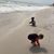 Linda Campbell Zimmerman's profile image
