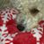 Paulette Seckinger's profile image