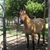 Teresa Gilbert Patton's profile image