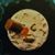Alice Kelley's profile image