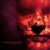 Armando Tamez's profile image