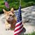 Daniel Doyle's profile image