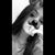 Anastasya Aiello's profile image