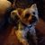 Leann Ratliff's profile image