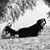 Mitzie StClair Pitford's profile image
