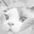 Joy Watson's profile image