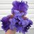 Patricia Sawyer's profile image