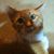 Brian Illner's profile image