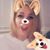 Stacey Pedigo Duty's profile image