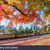 Wamaitha M.'s profile image