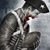 Jason Bombardier's profile image