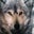 Eric DeWolff's profile image