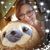 Becky Maroney's profile image