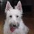 John Wesley Herdeg's profile image