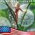 Dee Grose's profile image