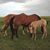 Glenda Smith's profile image