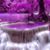 Christina Becker's profile image