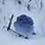 Donna Elvidge Burrell's profile image