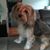 Emily Lampman's profile image