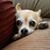 Barbara Terry's profile image