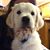 Debra L Murray's profile image