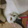 Carolyn C.'s profile image