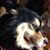 Jen Daley's profile image
