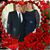 Mary Lucy Marek's profile image