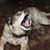 Stuart L. Riley's profile image