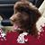 Jeanie McFarland Hellwich's profile image