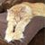 LeRoy Stoddard's profile image