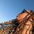 Skye DuBose's profile image