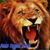 Vivek Rajput's profile image