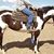 Bree Smith's profile image