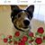 Kara Moseley's profile image